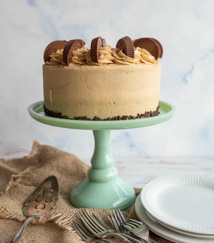 Chocolate Peanut Butter Cake — Bless this Mess