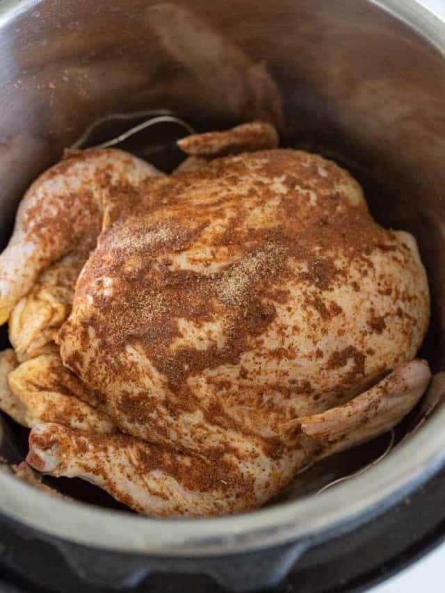 Instant Pot Whole Chicken — Bless this Mess
