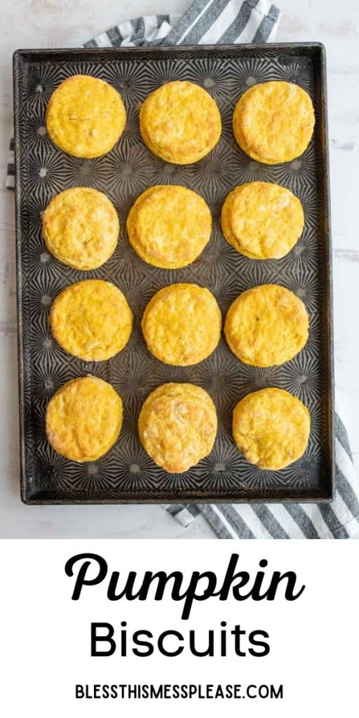 pin of pumpkin biscuits