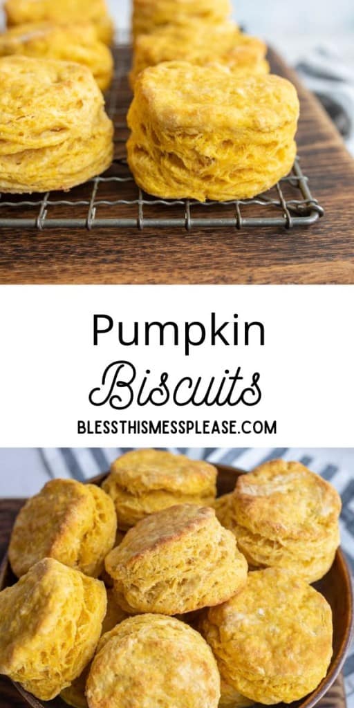 pin of pumpkin biscuits