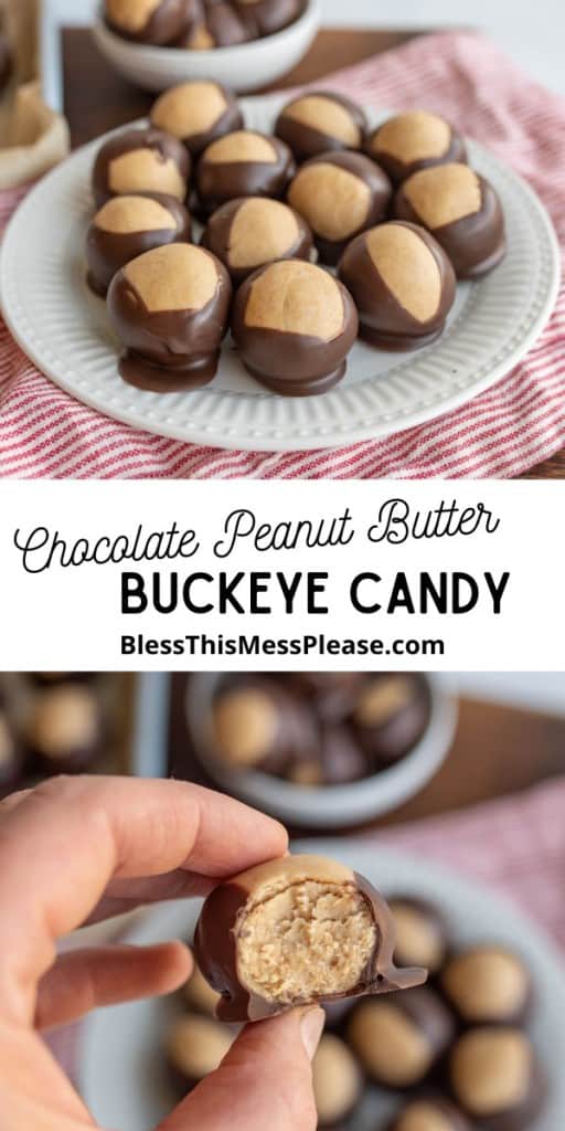 pin for chocolate peanut butter buckeye candy