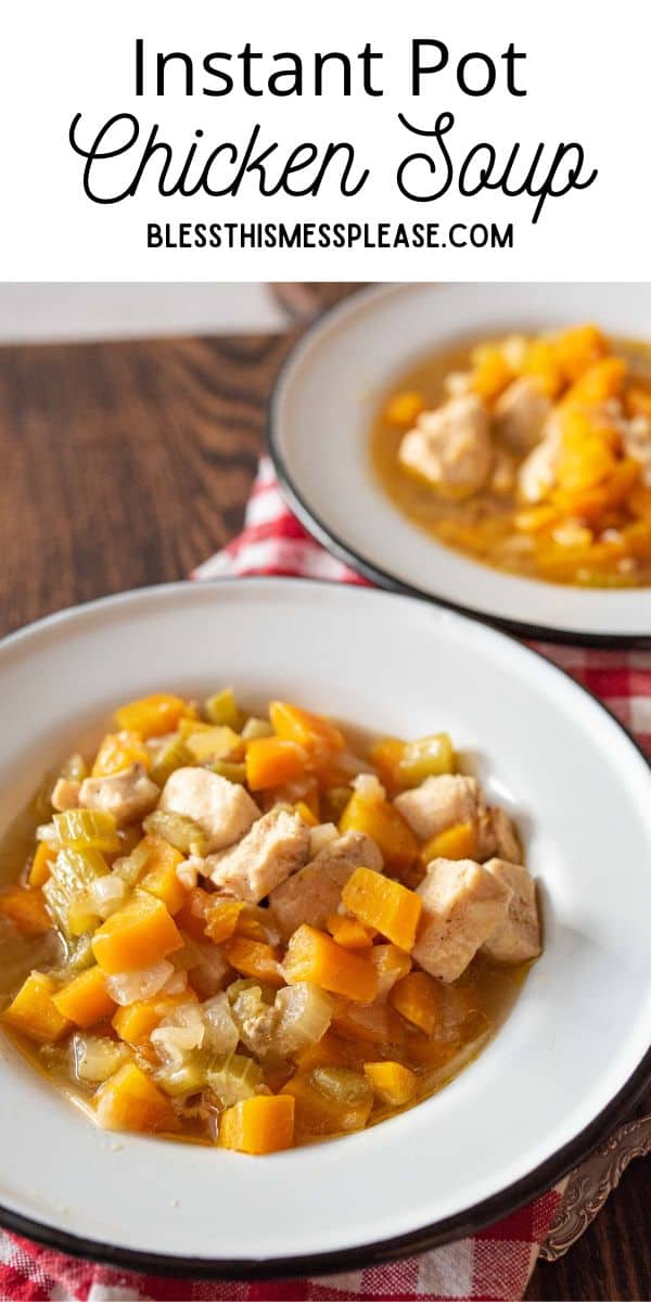 Instant Pot Chicken Soup — Bless this Mess