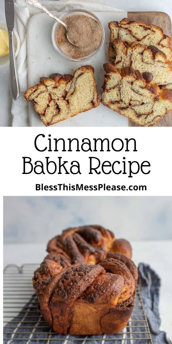 Cinnamon Babka — Bless this Mess