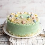 whole decorated easter coconut cake and the coconut shreds make a nest for candy eggs