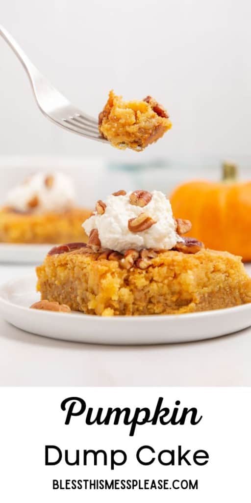 pin of pumpkin dump cake