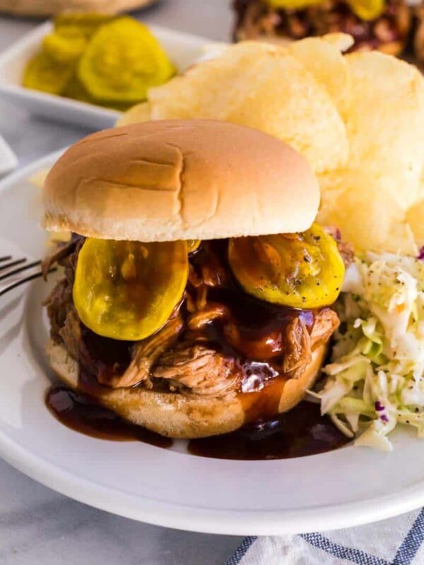 barbecue pulled pork sandwich on a plate with slaw and chips