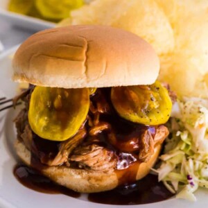 barbecue pulled pork sandwich on a plate with slaw and chips