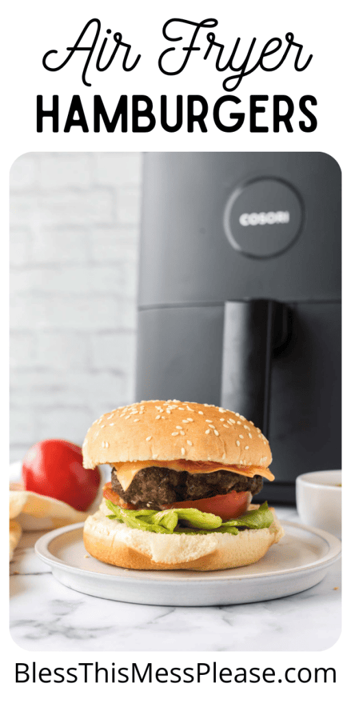 pin for air fryer hamburgers