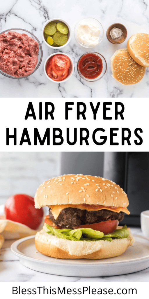 pin for air fryer hamburgers