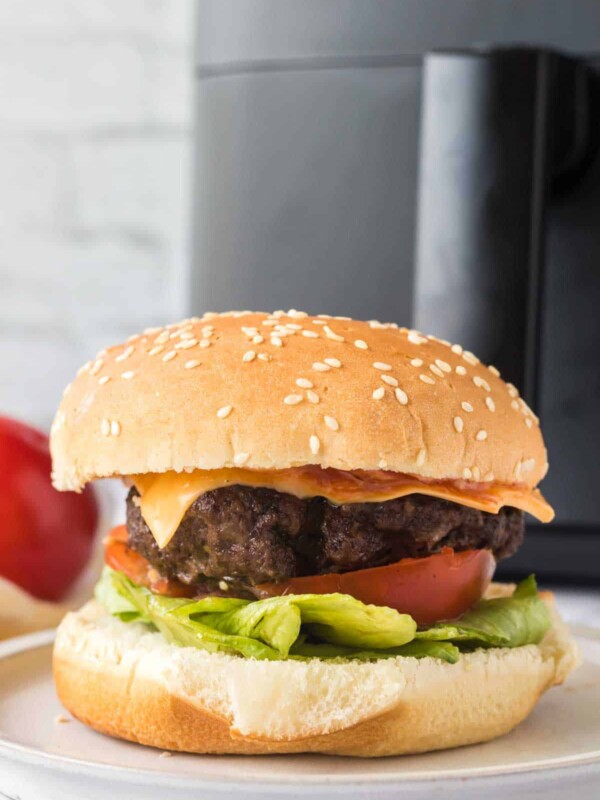 side view of an air fryer hamburger on a white plate