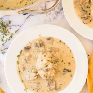 chicken fricassee in white bowls