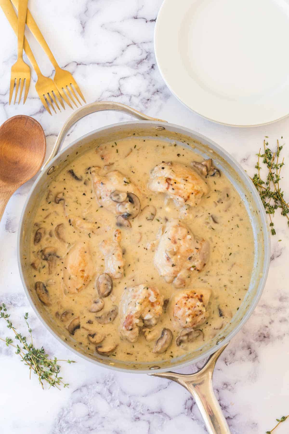 top view of chicken fricassee pan