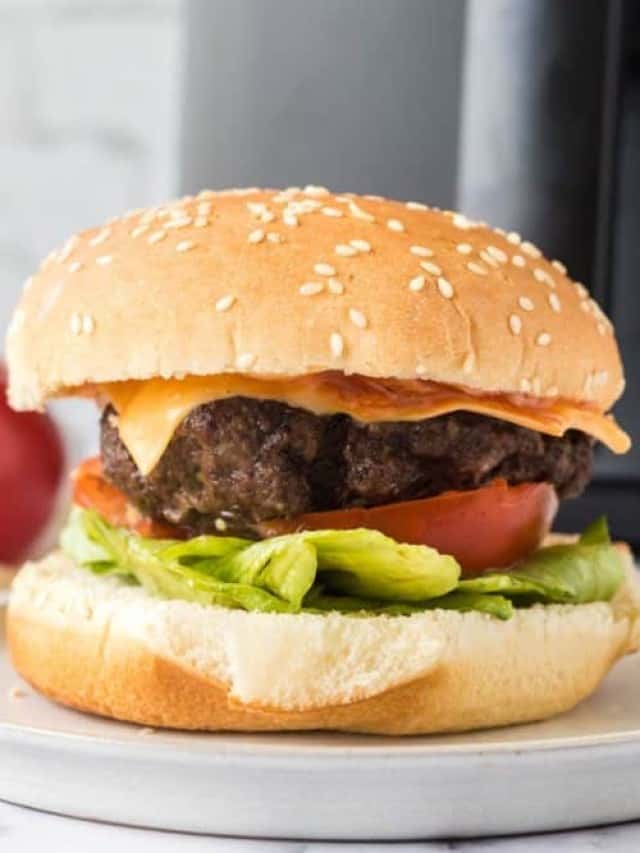 Air Fryer Hamburgers — Bless this Mess