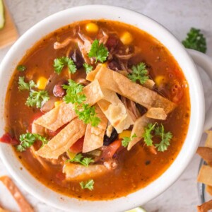 a white bowl with chicken tortilla soup and sliced chips and cheese on top