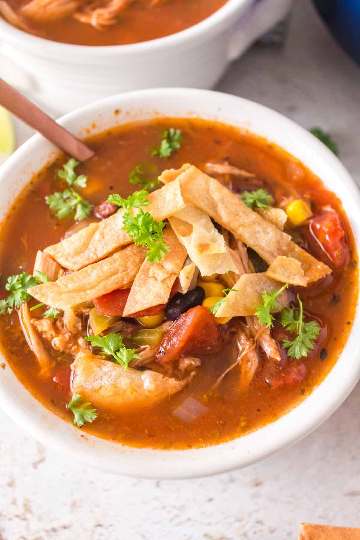 a white bowl with chicken tortilla soup and sliced chips and cheese on top