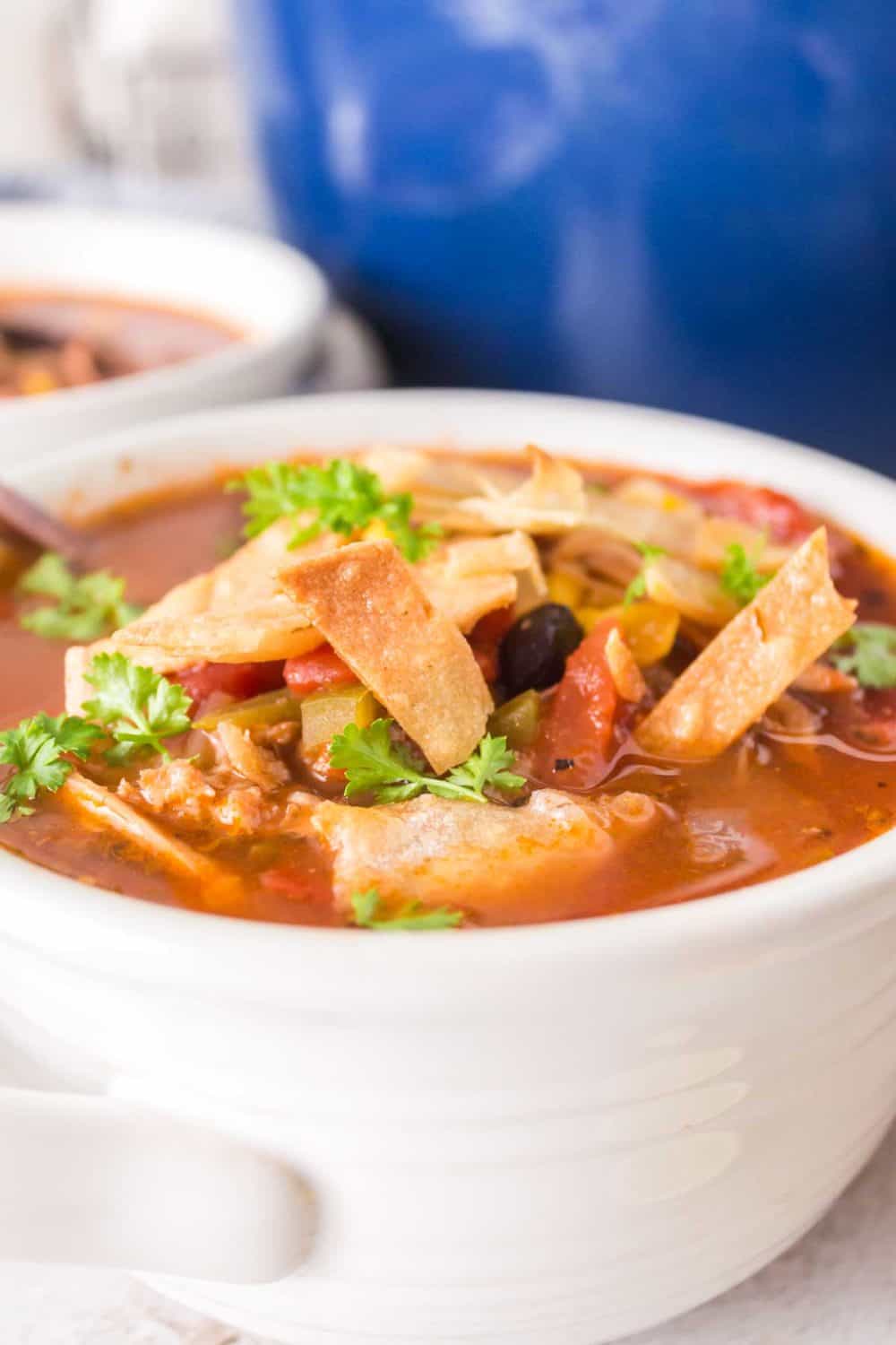 side view of a white bowl with chicken tortilla soup and sliced chips and cheese on top