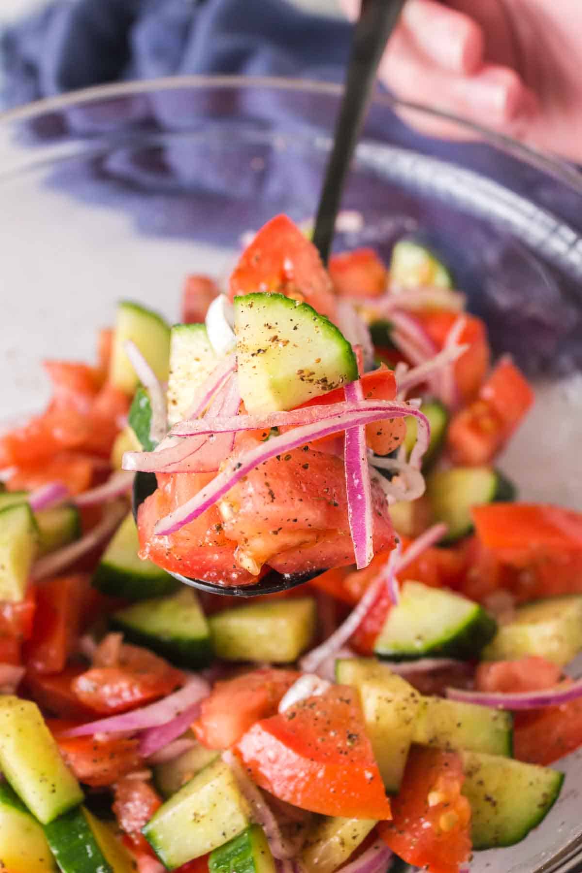 Spoonful of tomato and cucumber salad.