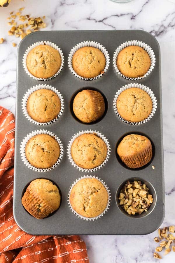 muffins in a muffin tin