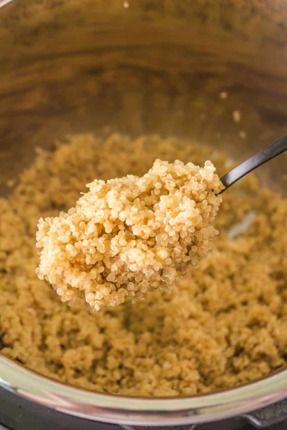 Instant Pot Quinoa — Bless this Mess