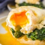 gooey poached egg atop spinach on an english muffin for eggs Florentine