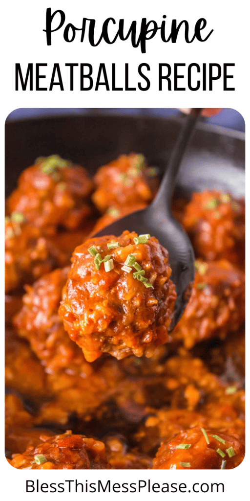 Spoonful of porcupine meatballs with text