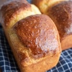 golden baked brioche bread loafs