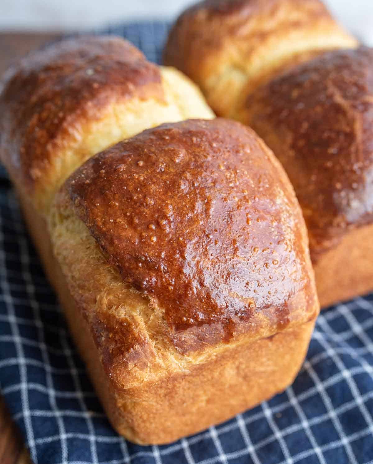 golden baked brioche bread loafs