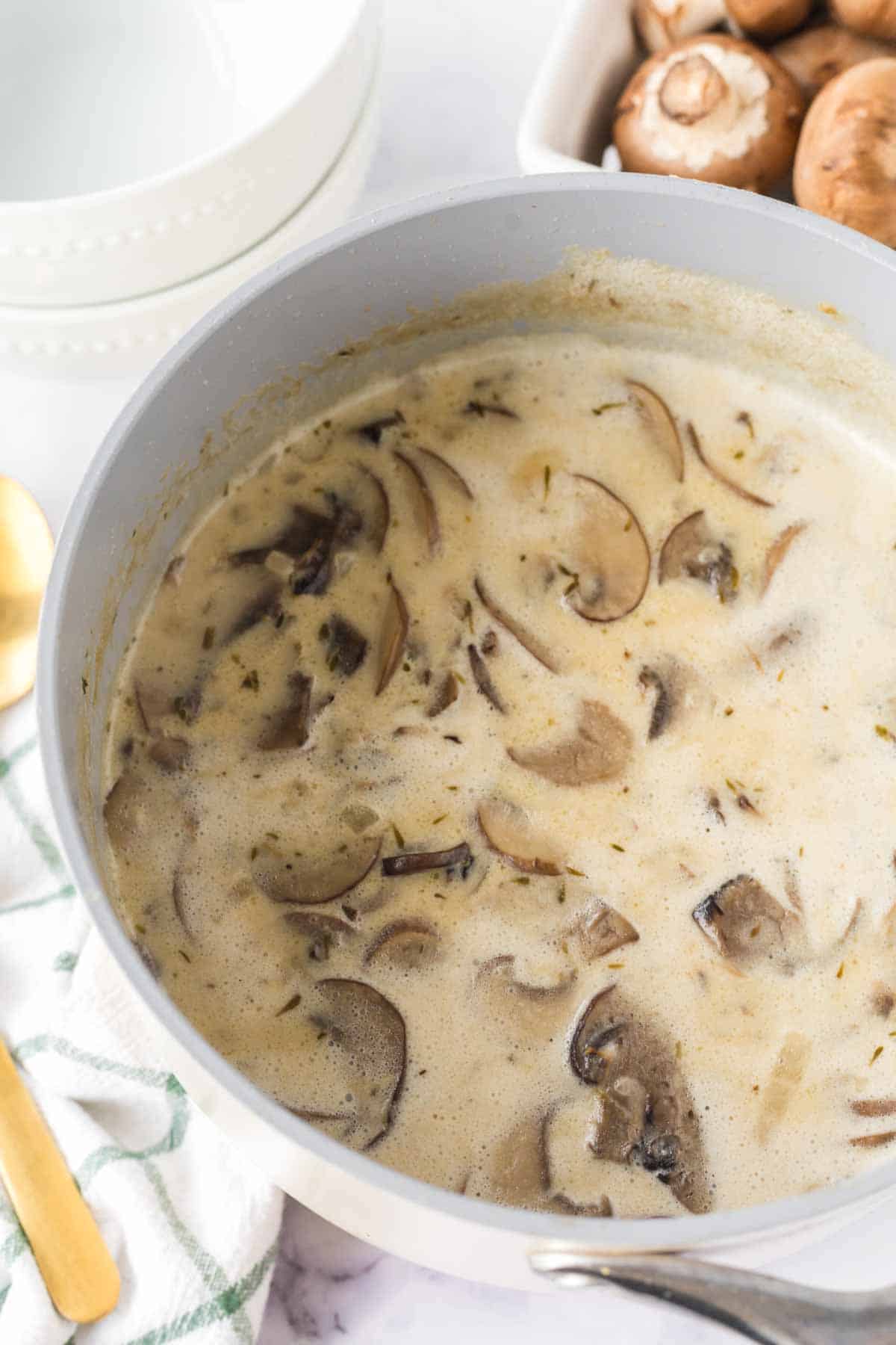pot of cream of mushroom soup