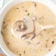 POV of a spoonful of cream of mushroom soup