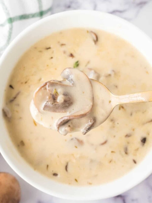 POV of a spoonful of cream of mushroom soup