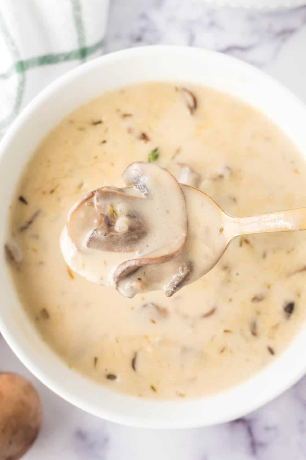 POV of a spoonful of cream of mushroom soup