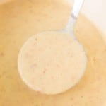 ladle of cream of potato soup