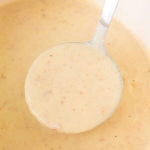 ladle of cream of potato soup