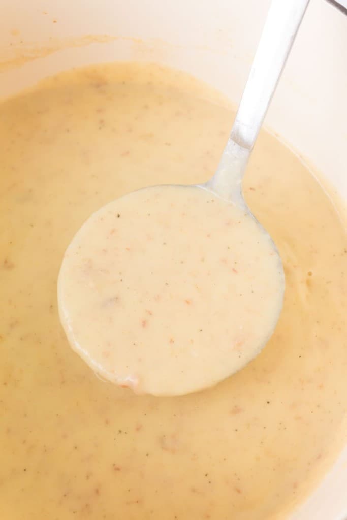 ladle of cream of potato soup
