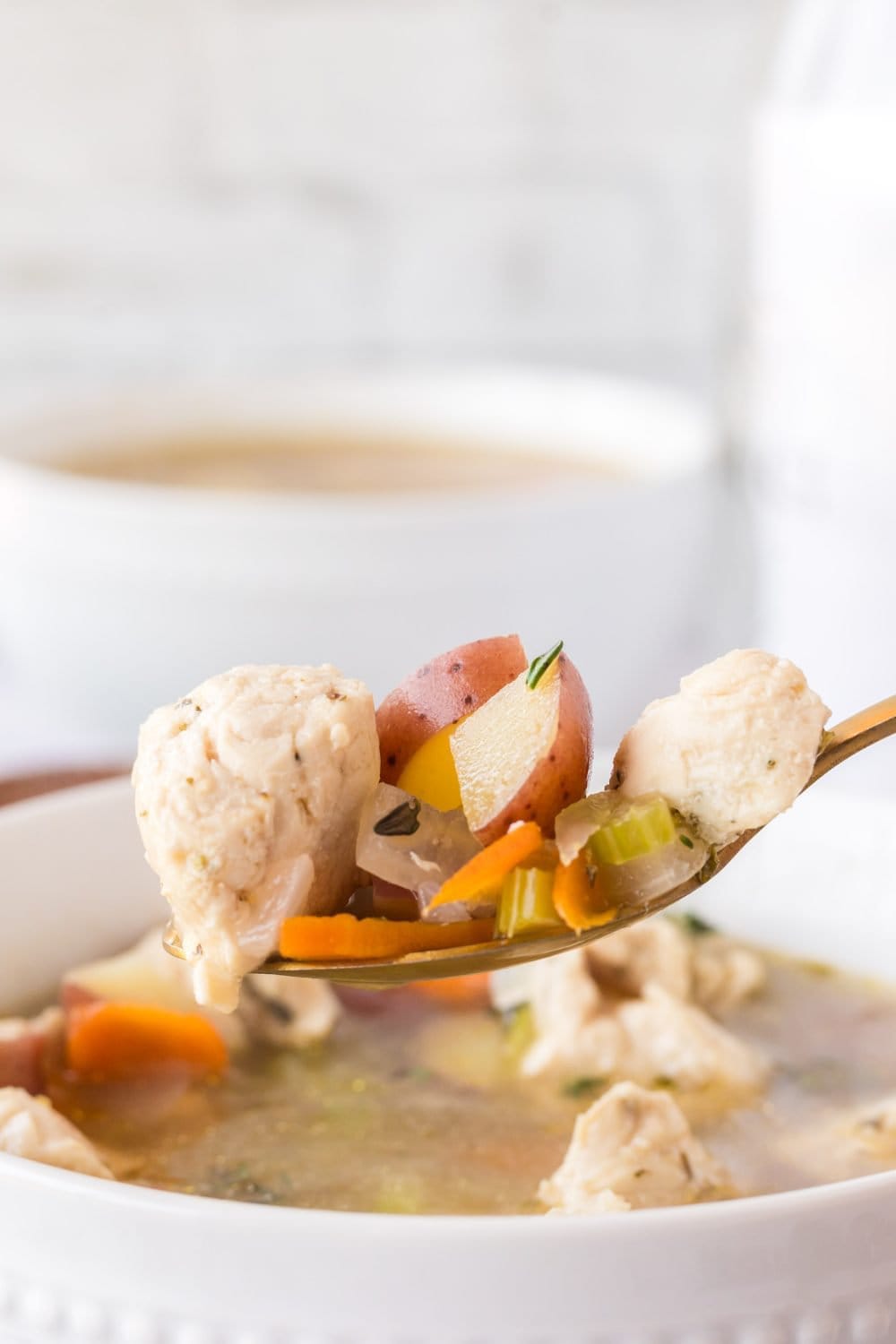 Spoonful of chicken stew.