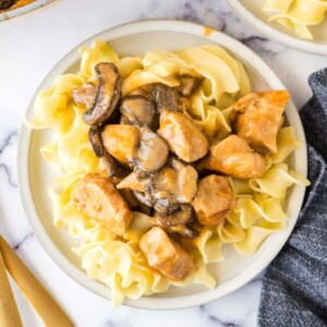 top view of plated chicken stroganoff