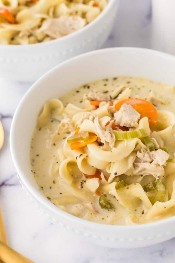 Creamy Chicken Noodle Soup — Bless this Mess