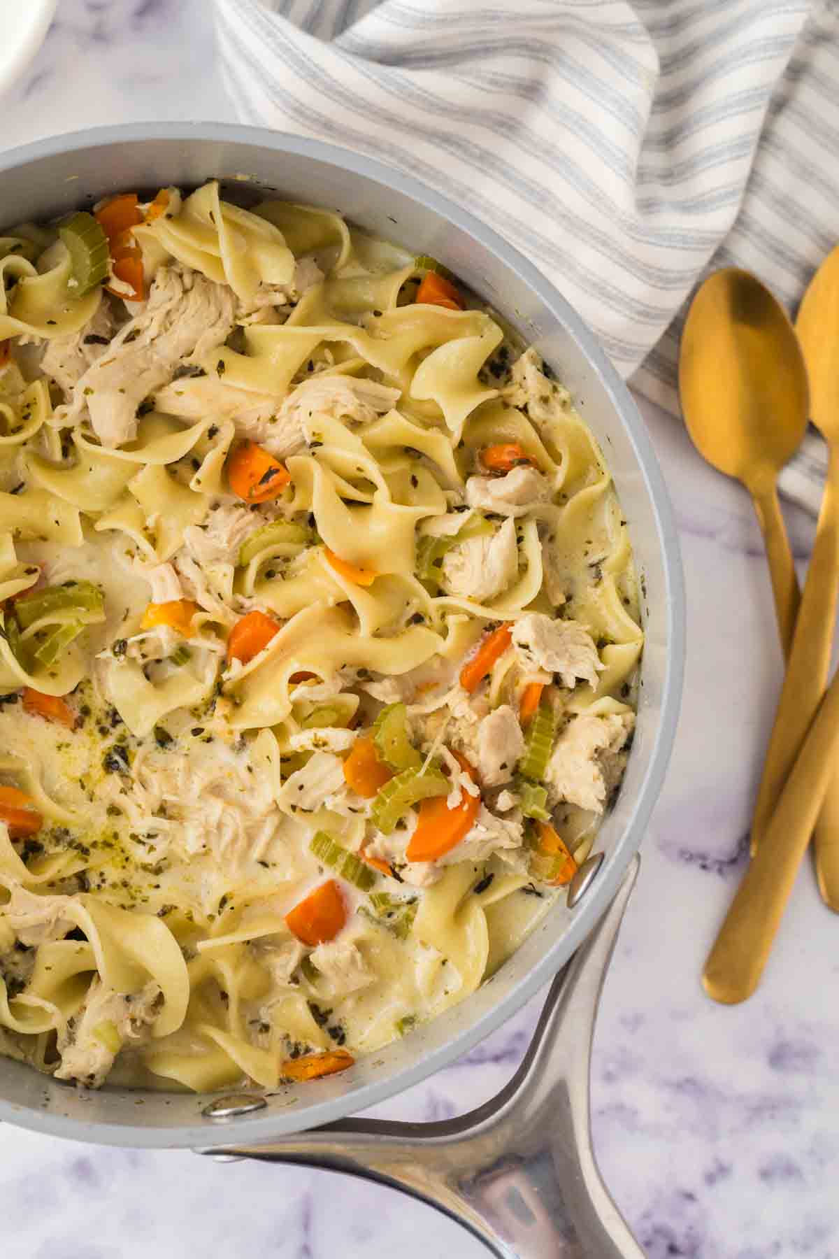 sauce pan with creamy chicken noodle soup