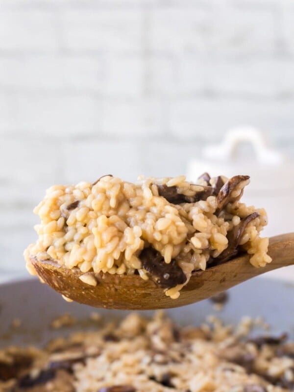 spoonful of mushroom risotto