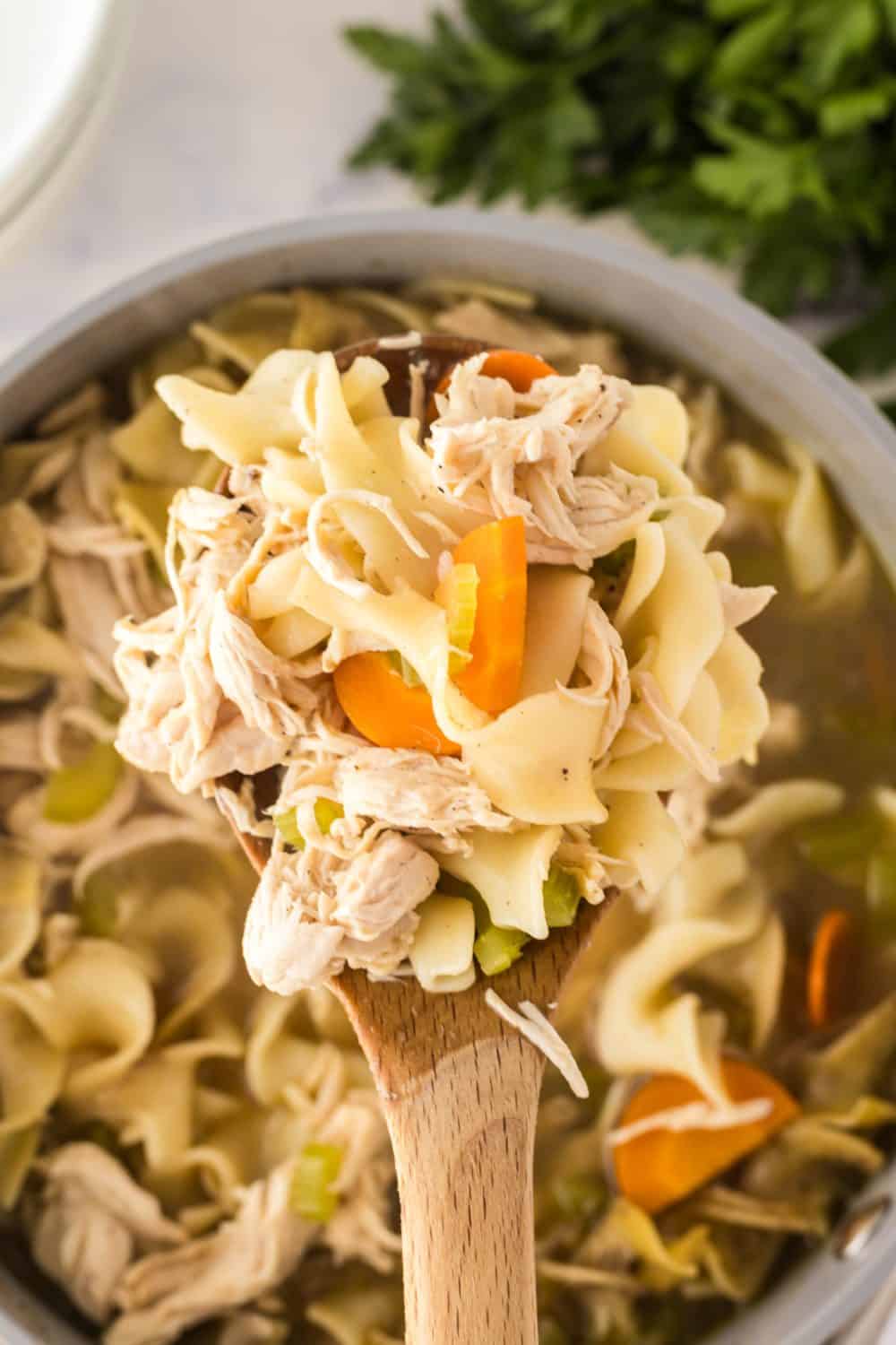 a top view spoonful of turkey noodle soup over a pot