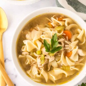 white bowl of turkey noodle soup served and ready to enjoy
