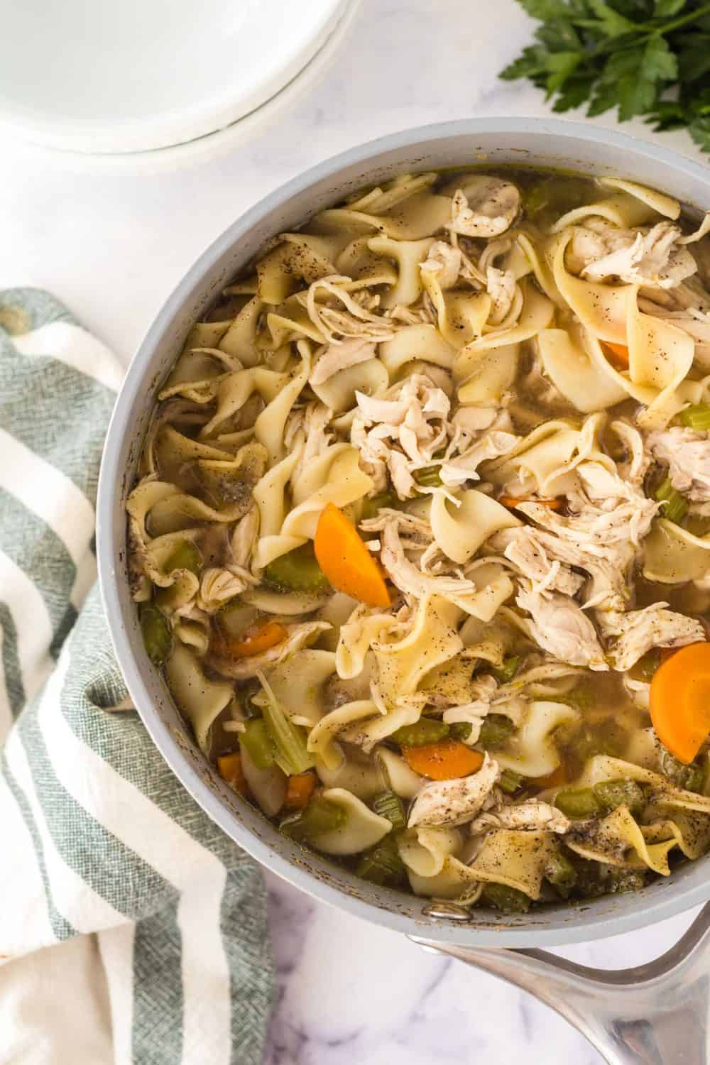 turkey noodle soup in a pot