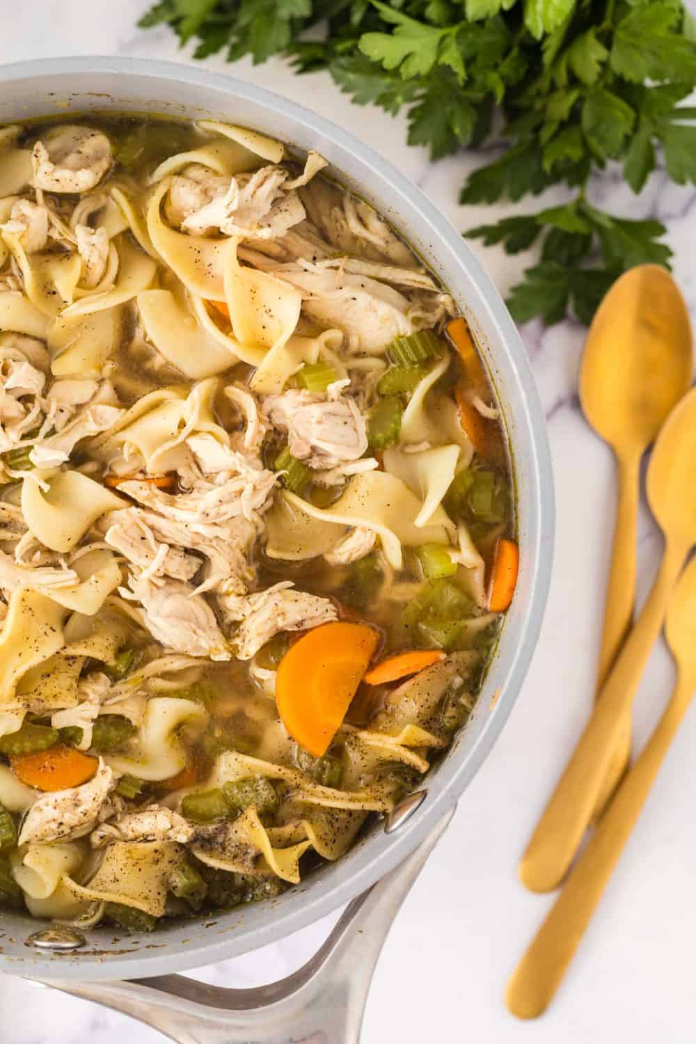 turkey noodle soup in a pot