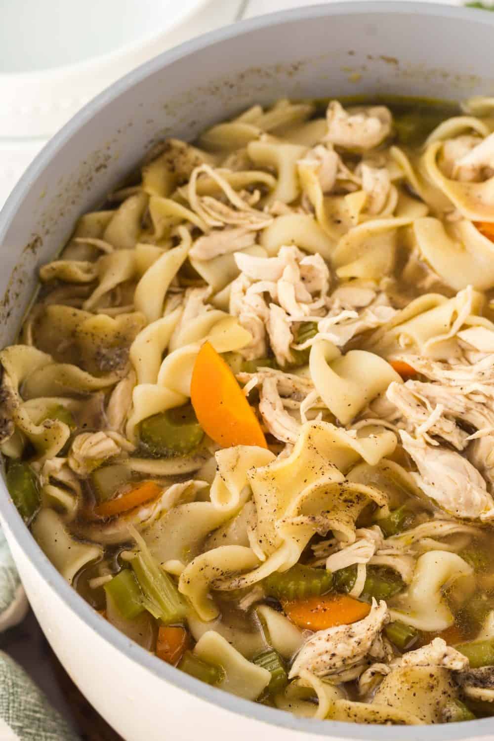 turkey noodle soup in a pot