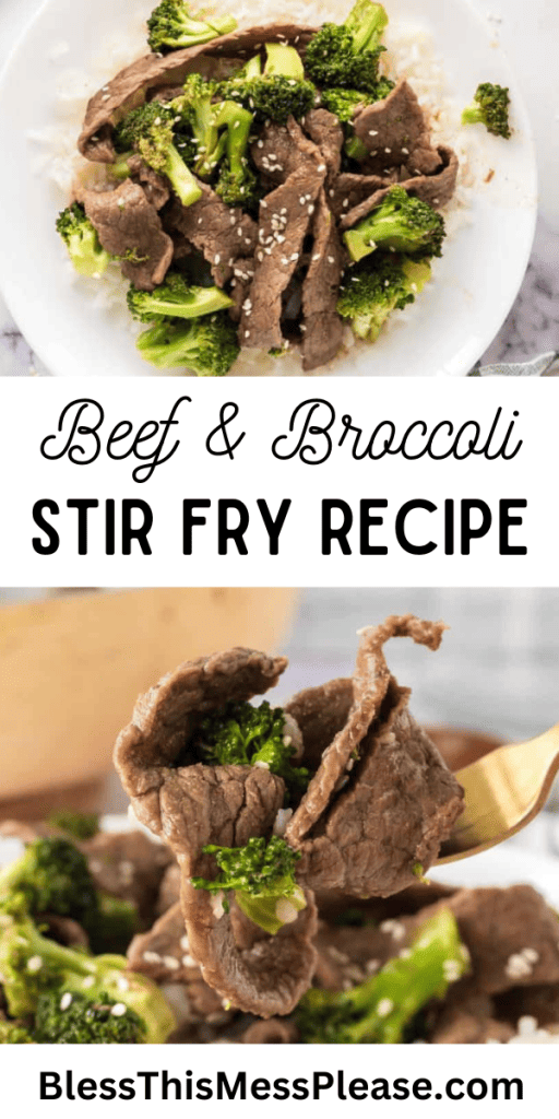 pic shows bowl of beef and broccoli stir fry