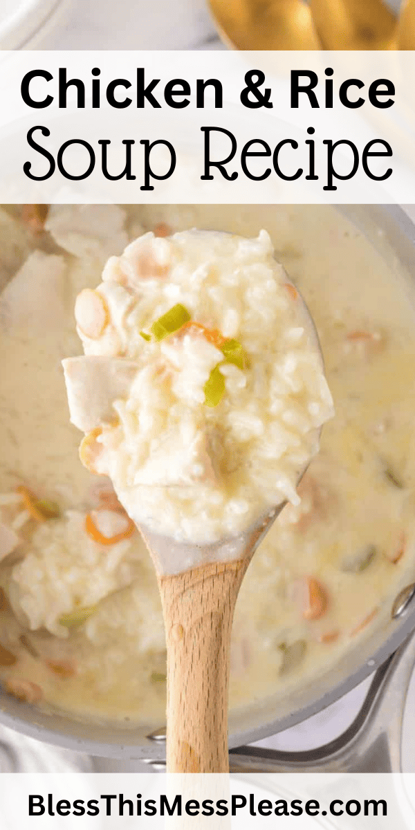Chicken and Rice Soup — Bless this Mess