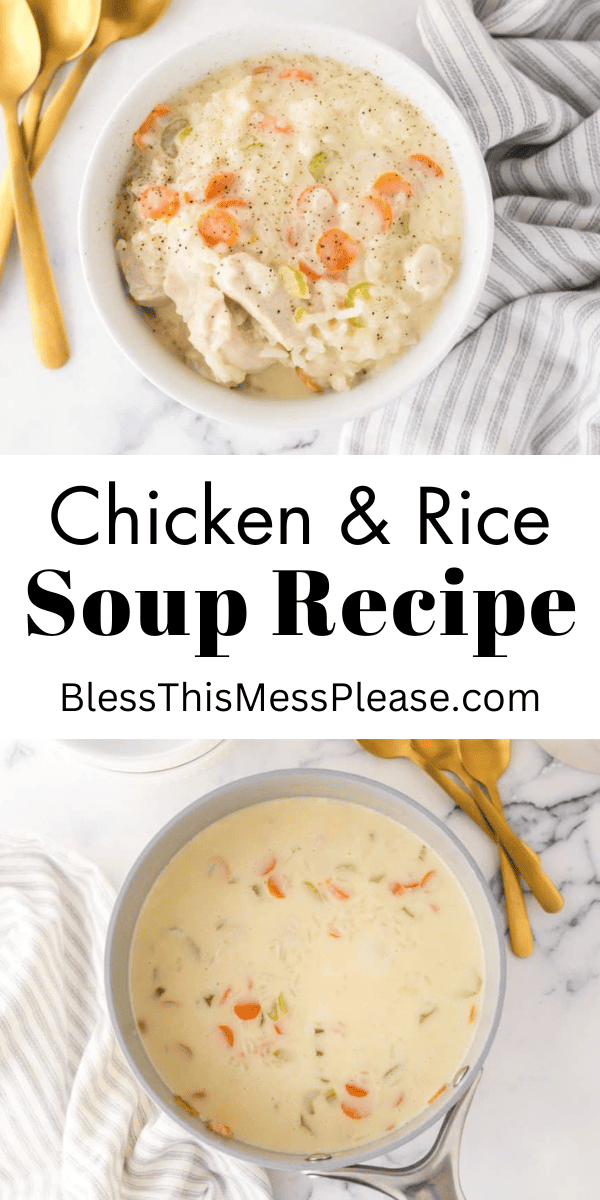 Chicken and Rice Soup — Bless this Mess