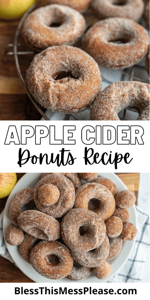 pin with text that reads apple cider donuts recipe with pictures of the sugary dusted donuts and holes on plates and cooling racks