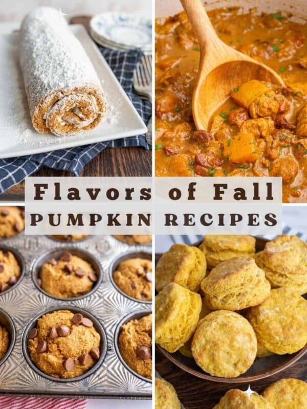 flavors of fall pumpkin recipe autumn collage with text