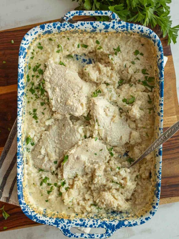 chicken and rice in blue dish